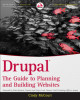 Ebook Drupal: The guide to planning and building websites