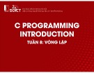 Bài giảng C Programming introduction: Tuần 8 - Vòng lặp (tt)