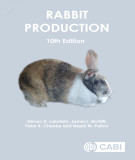 Ebook Rabbit production (10/E): Part 1