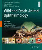 Ebook Wild and exotic animal ophthalmology (Vol 1: Invertebrates, fishes, amphibians, reptiles, and birds): Part 2