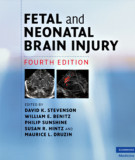Ebook Fetal and neonatal brain injury: Part 2