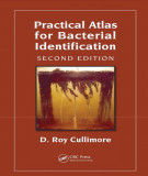 Ebook Practical atlas for bacterial identification (2/E): Part 2