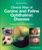 Ebook Clinical atlas of canine and feline ophthalmic disease (2/E): Part 1
