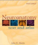 Ebook Neuroanatomy - Text and atlas (3/E): Part 1