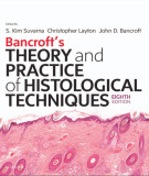 Ebook Bancroft’s theory and practice of histological techniques (8/E): Part 2