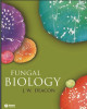 Ebook Fungal biology (4/E): Part 1