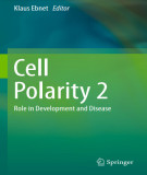 Ebook Cell polarity 2: Role in development and disease