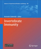 Ebook Invertebrate immunity