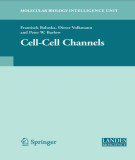 Ebook Cell-cell channels