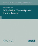Ebook NF-KB/Rel transcription factor family