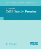 Ebook CtBP family proteins