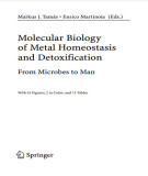 Ebook Molecular biology of metal homeostasis and detoxification: From microbes to man