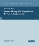 Ebook Networking of chaperones by co-chaperones