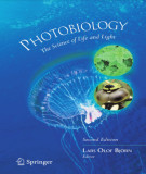 Ebook Photobiology: The science of life and light (Second edition)