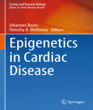 Ebook Epigenetics in cardiac disease