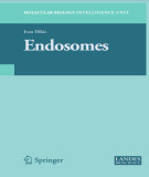 Ebook Endosomes
