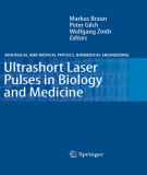 Ebook Ultrashort laser pulses in biology and medicine
