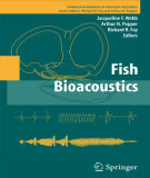 Ebook Fish bioacoustics