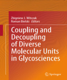 Ebook Coupling and decoupling of diverse molecular units in glycosciences