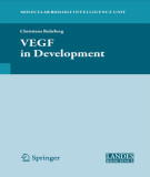 Ebook VEGF in development