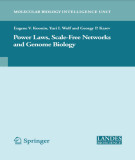 Ebook Power laws, scale-free networks and genome biology
