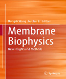 Ebook Membrane biophysics: New insights and methods