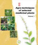 Ebook Agro-techniques of selected medicinal plants (Volume 1)