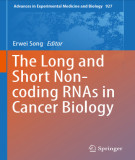 Ebook The long and short noncoding RNAs in cancer biology