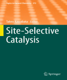 Ebook Site-selective catalysis