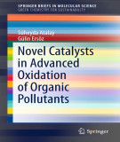 Ebook Novel catalysts in advanced oxidation of organic pollutants