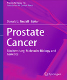 Ebook Prostate cancer: Biochemistry, molecular biology and genetics