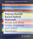 Ebook Polysaccharide based hybrid materials: Metals and metal oxides, graphene and carbon nanotubes