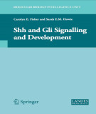 Ebook Shh and Gli signalling and development