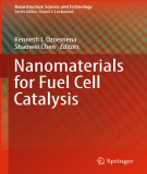 Ebook Nanomaterials for fuel cell catalysis