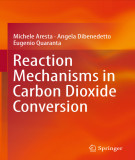 Ebook Reaction mechanisms in carbon dioxide conversion