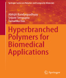 Ebook Hyperbranched polymers for biomedical applications