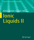 Ebook Ionic liquids II
