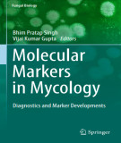 Ebook Molecular markers in mycology: Diagnostics and marker developments