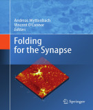 Ebook Folding for the synapse