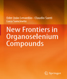 Ebook New frontiers in organoselenium compounds