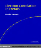 Ebook Electron correlation in metals
