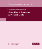 Ebook Heat shock proteins in neural cells
