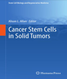 Ebook Cancer stem cells in solid tumors