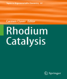 Ebook Rhodium catalysis