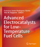 Ebook Advanced electrocatalysts for low-temperature fuel cells