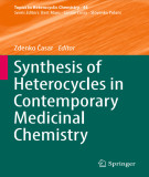 Ebook Synthesis of heterocycles in contemporary medicinal chemistry