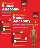 Ebook Human anatomy (Vol 4 - 8th edition): Part 2