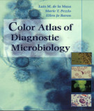 Ebook Color atlas of diagnostic microbiology: Part 1