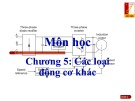 Bài giảng Cơ sở truyền động điện - Chương 5: Các loại động cơ khác