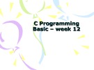 Lecture C programming basic: Week 12